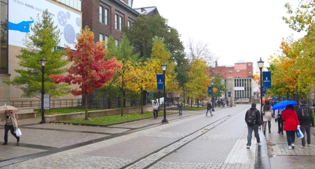 Red and gold trees lining a street through the University of Toronto campus